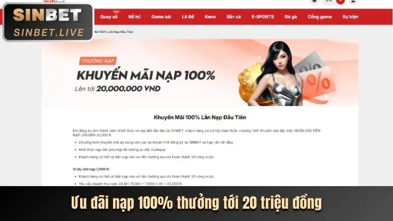 Tổng quan các chương trình khuyến mãi 8dayvn